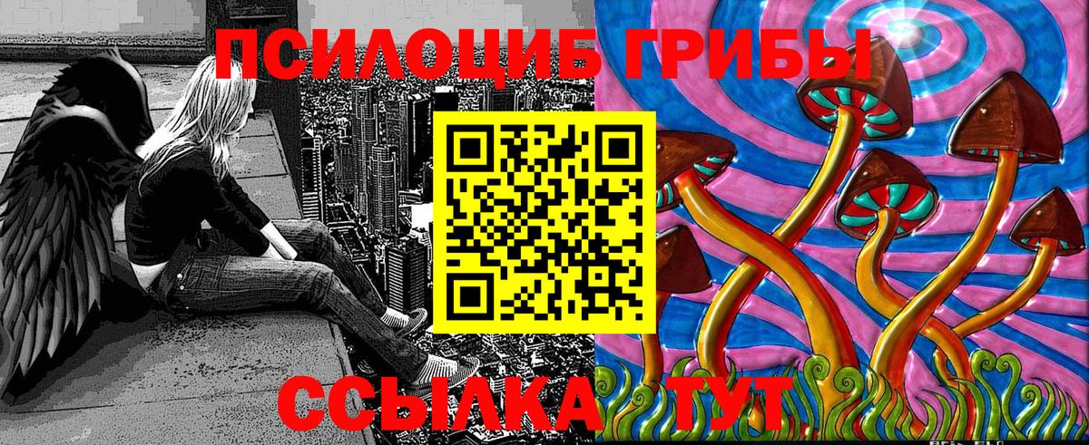 Богородск  Псилоцибиновые грибы Psilocybe  Вход с VPN 