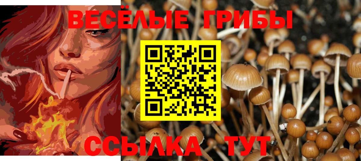 Галлюциногенные грибы MAGIC MUSHROOMS Богородск